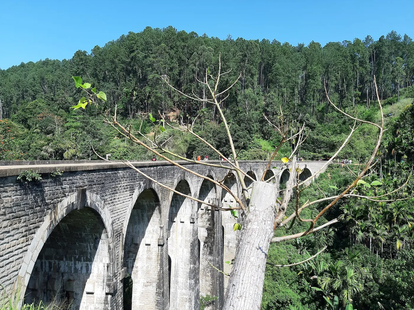 Nine Arch Bridge in Ella surrounded by jungle